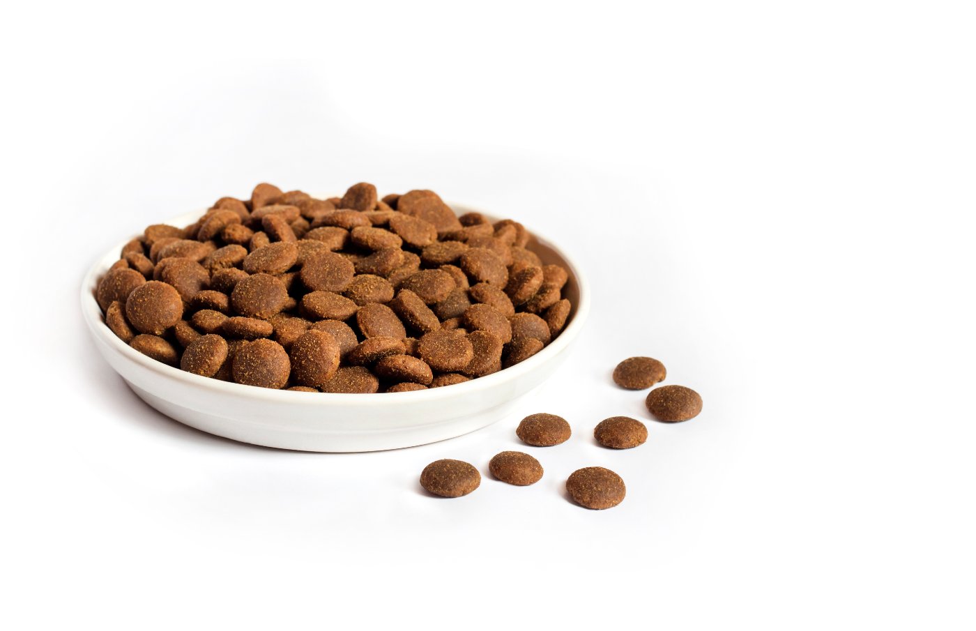 Grain-free dry cat food in a white ceramic bowl